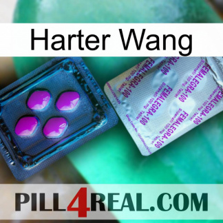 Hard Wang 37